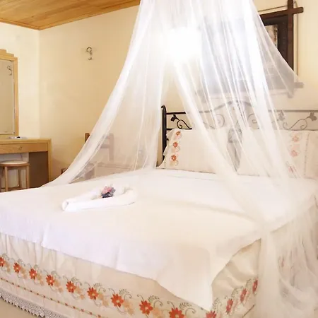 Antik 酒店 阿拉恰特