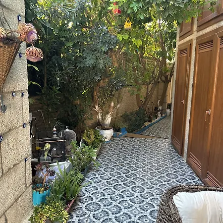 Antik 3* 阿拉恰特