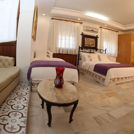 Antik 酒店 阿拉恰特